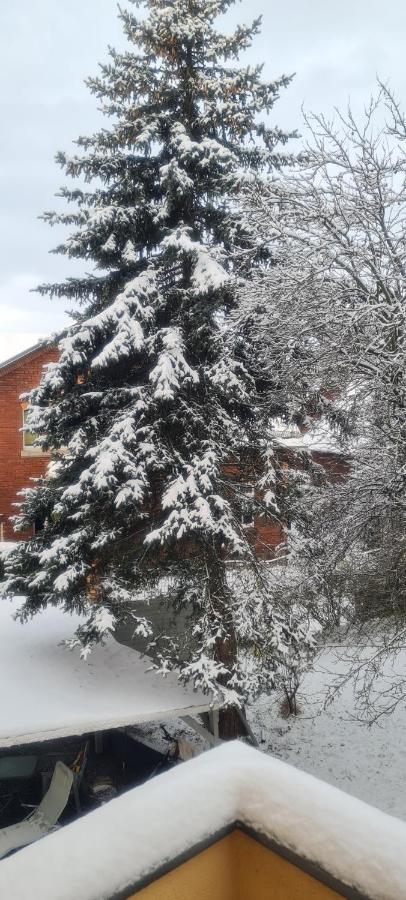 Kuechwald Apartment *