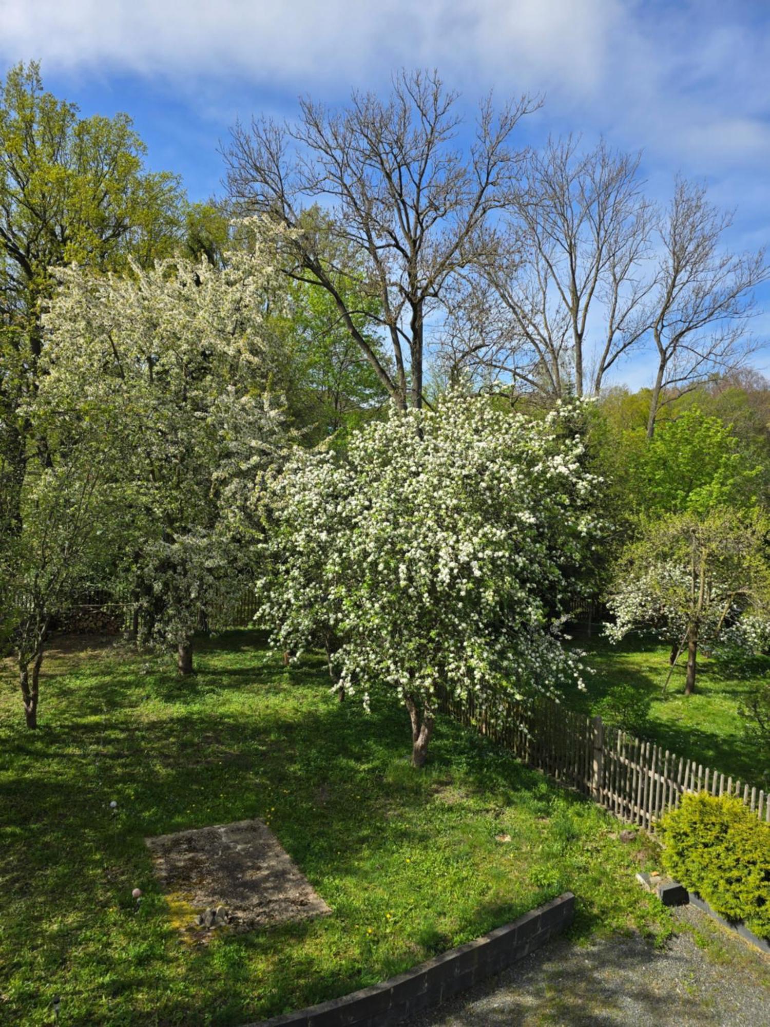 Kuechwald * Chemnitz