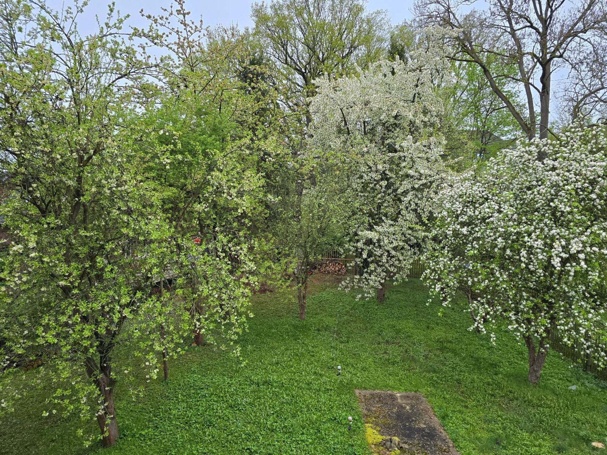 Apartment Kuechwald