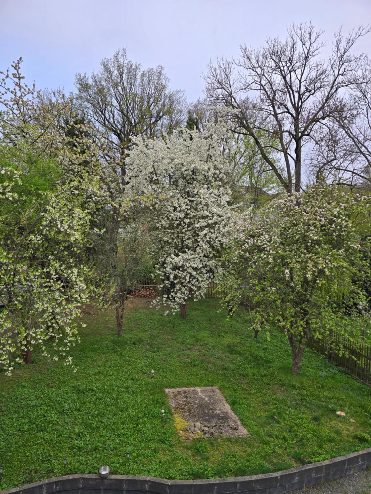 Kuechwald