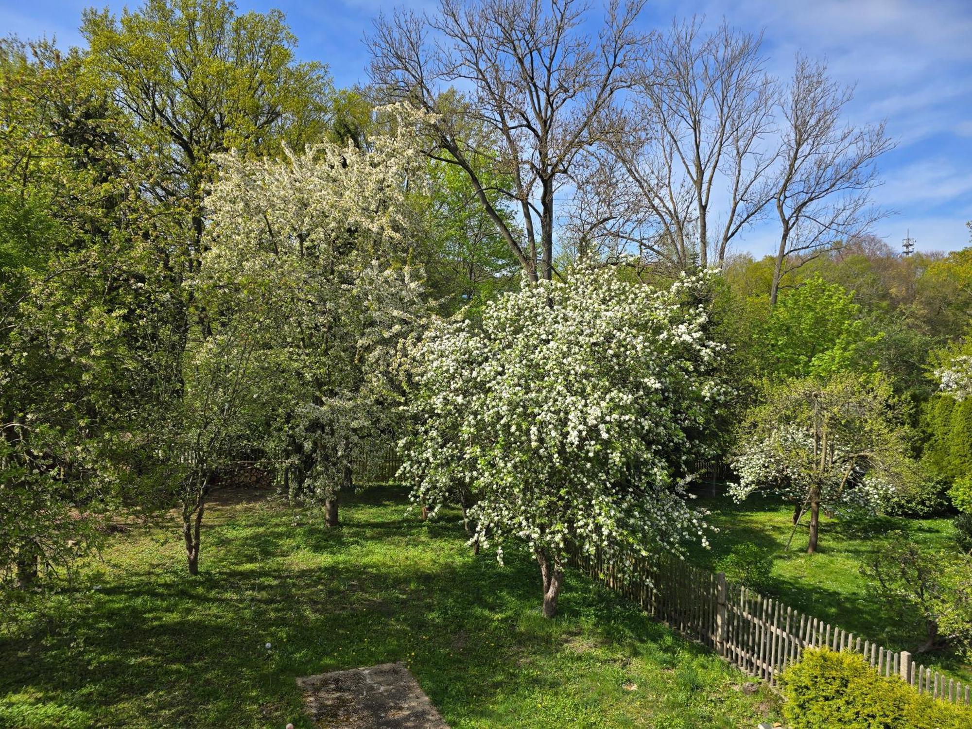 Kuechwald Chemnitz